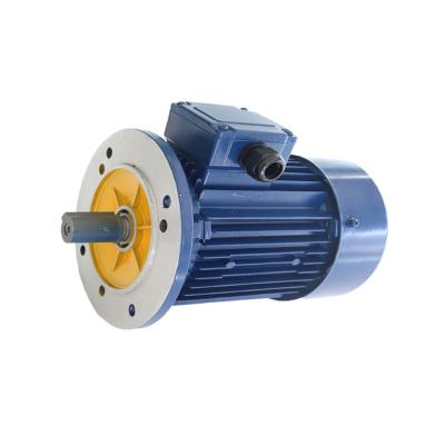 China Totally Enclosed DC Electric Motor Horizontal Worm Gear Motors For Industrial Parts Permanent Magnet Brushless Electric Motor 12v IE 4 for sale