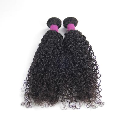 China 100% Bundles,10A Brazilian Virgin Hair Wholesale Seller,Raw Curl Mink Curly Virgin Human Hair Kinky Cuticle Aligned Hair Extension for sale