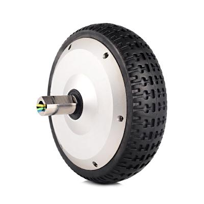 Κίνα Drip-proof China 36V 300RPM 40NM BL17060SI Wheel Hub Motor for Robotics προς πώληση