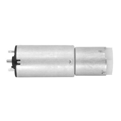 China Drip-proof China mini gear dc motor strong magnet 12V/24V planetary gearbox DC motor for car trunk for sale