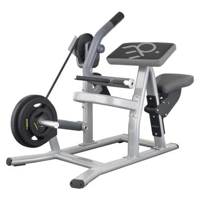 China Universal Fitness Equipment Plate Loaded Bicep Curl Strength Machines for sale