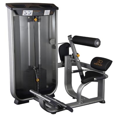 China Multipurpose Professional Gym / Home Use Abs Abdominal Crunch Machine for sale