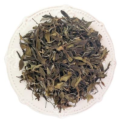 China 2022 factory manufacture loose white tea anji baicha anji tea fuding dry fuding white tea cake for sale