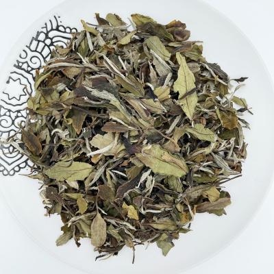 China Fujian fuding compressed tea wholesale manufacture various white tea for sale