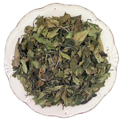 China 2019 Premium Single Old Octavia Nepalese Tea Pomegranate Compressed Tea Powder White Teas for sale