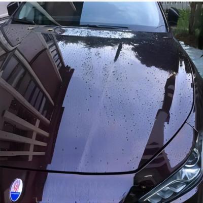 China No Yellowing Stretchable Automotive Paint Protection Film Wrap Stickers Invisible Wrap For Car for sale