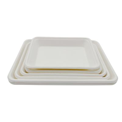 China 8*5.7 Inch Rectangular FREE Biodegradable Compostable Tray PFAS Sugar Cane Bagasse Pulp Tray for sale