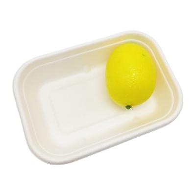 China 750ml Disposable Rectangular FREE Biodegradable Compostable Tray PFAS Sugarcane Bagasse Pulp Disposable Tray for sale