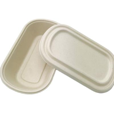 China 26oz Cylinder Disposable Food Bowl With Lid PFAS FREE Sugar Cane Bagasse Pulp Compostable Biodegradable Disposable Food Container for sale