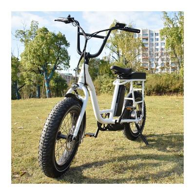 China Electric Cargo Bike Ebike RaiderRunner-32F 48V750W Electric Cargo Bike City Bicycle Electric Fat Tire Electric Hybrid Bike For Adult for sale