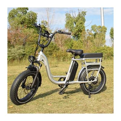 China Fast Shipping Aluminum Fat Tire 20inch Alloy RaiderRunner-34F Electric Bike Electric Bike Electric Bike For Family Use for sale