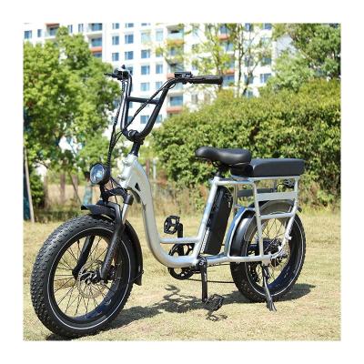 China Hot sale4 8V750W RaiderRunner-34F electric bicycle electric bike company electric bike multi-function city electric bike for adults for sale