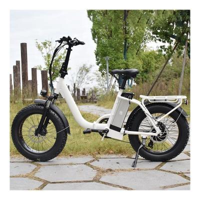 China Ebike RaiderExpand 45F 48v750w20inch Fat Tire Electric Bike Foldable City Full Suspension Ebike Folding Electric Bike For Adult for sale