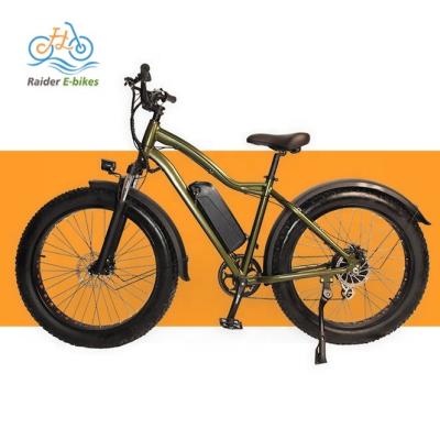 China Fat Tire Aluminum Alloy RaiderRunner-34F 20Inch 750w48V Cargo Bike Electric Hybrid Utility Bike ebike and other bike for sale