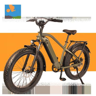 China Moutain Electric Bike RaiderRunner-34F 26