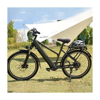 China RaiderCity-801 Alloy Electric Bicycle Aluminum Step Through Mountain City Electric Bike Front Suspension City Bicycle For Women for sale