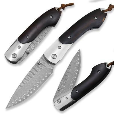 China High Quality Damasucs Multi Functional Knife 73 Layers Stainless Steel Bolster Finish Ebony Wood Mirror Handle for sale