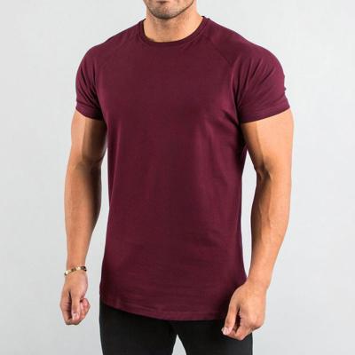 China Anti-Shrink Manufacturing Street Style Fitness 100% Cotton T Shirt Blanks Red T Shirt Men Gym Red T Shirt for sale