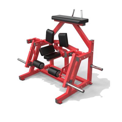 China Universal Plated Hammer Strength Machine XM50 Kneeling Leg Curl Machine Leg Exercise Gym Fitness Equipment ISO-Laden for sale