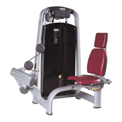 China Commercial fitness equipment machine strength equipment gym factory direct sale rotary calf ASJ-A067 for sale