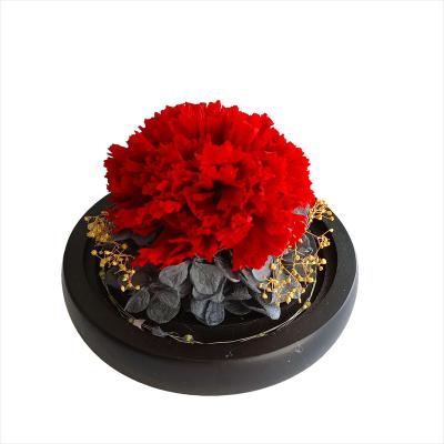 China New Mother's Day Gift Design Mothers Day Gift Flower Preserved Carnation Flower With Glass Dome for sale