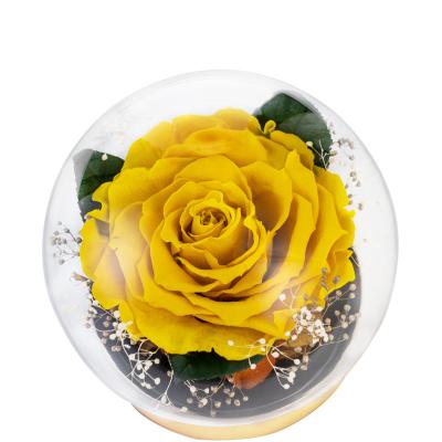 China Durable Preserved Preserved Rose Flowers Flowers Dome For Customer Mother's Day Gift for sale