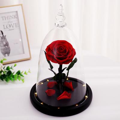 China 100% Real Everlasting Fresh Roses Glass Cover Rose Preserved Flower Preserved Rose In Glass for sale