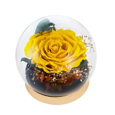 China Wholesale Handcrafted Handmade Eternal Roses Preserved Forever Rose In Glass Dome for sale