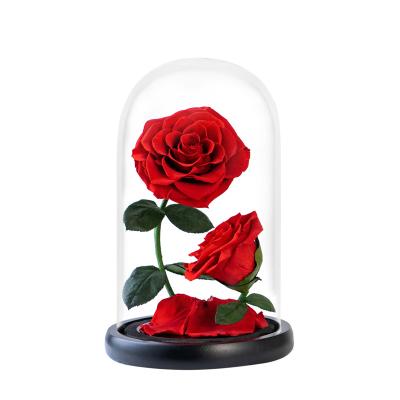 China Hot Sale Colorful Red Rose In Preserved Glass Dome Mounted Flower Eternal Gift For Mothers Day Gifts for sale