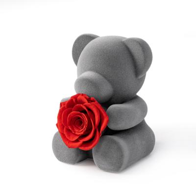 China Wedding Valentine's Gift Wholesale Forever Rose Eternal Bear Preserved Natural Rose Flocking Lovely Teddy Bear For Valentines Day Mother's Day Gift for sale