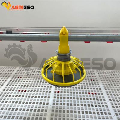 China Farms Poultry Farming Chicken Feeder Equipment Full Automatic Broiler Machinery Feeding And Drinking Line for sale