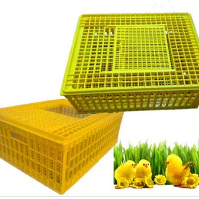 China Farms Agrieso Chicken Transport Box Chicken Farm Equipment Plastic Poultry Transport Cage for sale