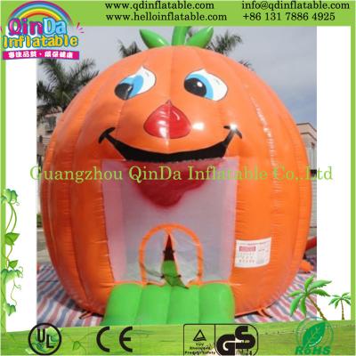 China Commercial Outdoor Inflatable Bouncy Castle for sale