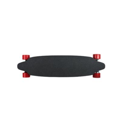 China Adult Ray Boards Longboard Electric Skateboard Vehicle Balancing Electric Motorized Skateboard for sale