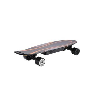 China Adult Cheap High Quality Scateboard 300W E Board Electric Skateboard for sale