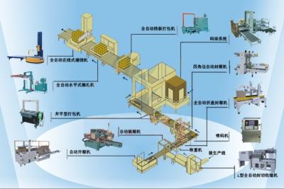 China Automatic Packaging Line, Automatic Open Carton Box，Fill, Weigh, Seal, Strap, Stack, Wrap for sale