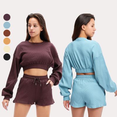 China Breathable Cotton Long Sleeve Sweatshirt And Shorts Set Spring Yoga Fitness Set for sale