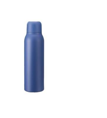 China Sustainable 600ml IP67 Double Wall Stainless Steel Smart UV-C Water Bottle With Light for sale