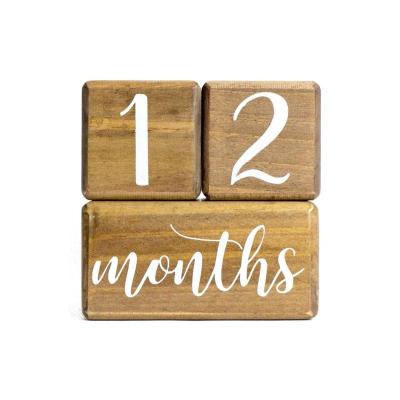 China DIY TOY Baby Monthly Milestone Blocks. The most complete set, baby photography props for social media, rustic baby nursery decor. for sale