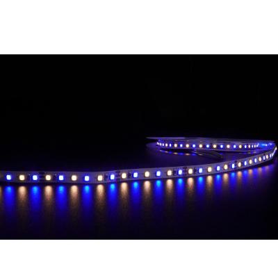 China LANDSCAPE aluminum led profile lighting 2835 12v 24v smd 5m 4000k 6000k 3500k 3000k dual color led strip light for sale