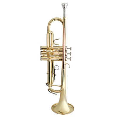 China Play Professional Wholesale Cheap Gold Lacquer Musical Instruments TP Brass Bb Trumpet for sale