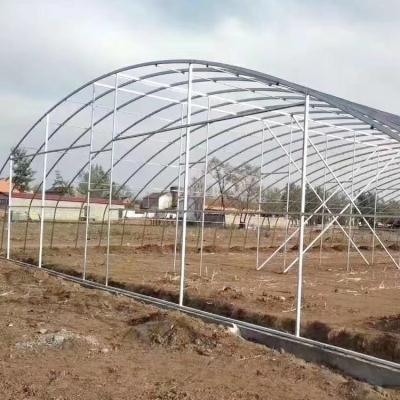 China Stable Structure Tianjin CREATE Designable Multi-span Garden Greenhouses for sale