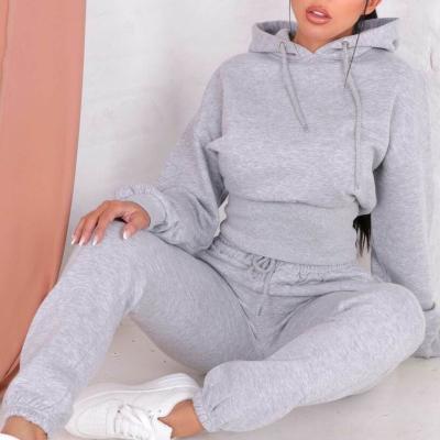 China Custom Logo Wholesale Cotton Long Sleeve Winter Women's Breathable 2 Piece Trouser Cropped Sweatshirt Sweatpants Hoodies And Pants Set for sale