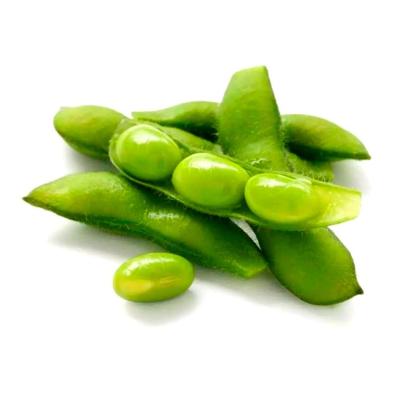 China New Product FROZEN Edamame China Frozen Soya Beans Frozen for sale