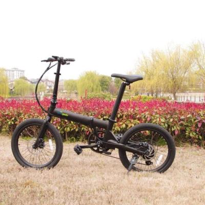 China Aluminum electric bicycle hub &electric bicycle motor&electric bike for sale