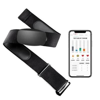 China Heart Rate Detection of Ring Long Battery Life Heart Rate Monitor Chest Strap Real-Time for sale