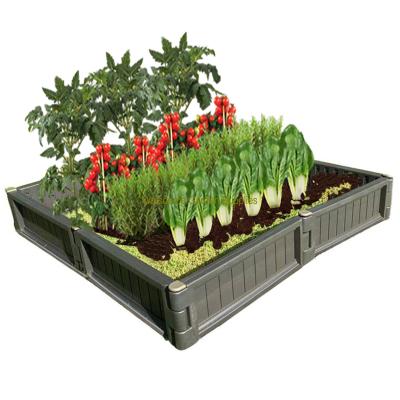 China Modern 8 pc raised plastic garden planter set, removable, strong and low maintenance, DIY design for sale