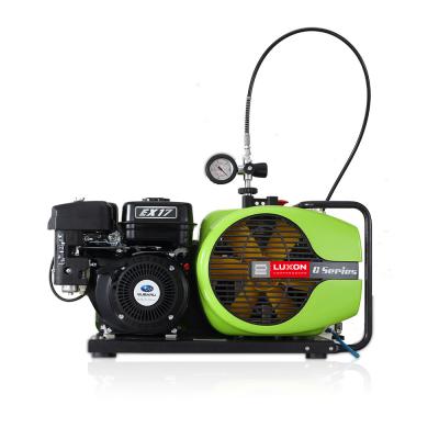 China 300bar lubricated high pressure industrial electric diving air compressor for sale for sale