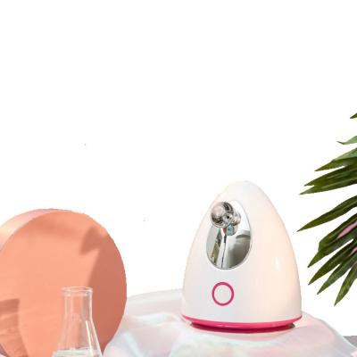 China Nano Steamer Deep Facial Cleansing Facial Moisturizer Facial Steamer Portable Household Household for sale