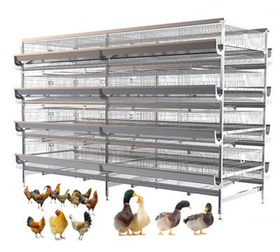 China Layer Chicken Farming Poultry Equipment Chicken Feeder Farm Equipment for sale